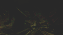  “At first, there were the Dark Dragon, the Falchion Sword… and the Fire Emblem.” 