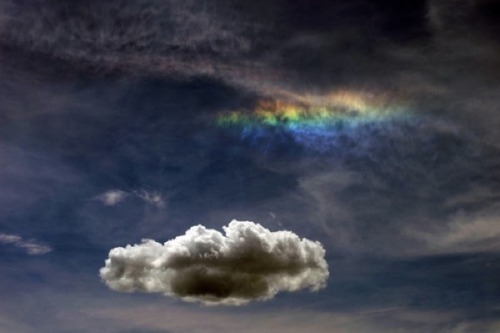 nubbsgalore:  this atmospheric phenomenon is known as a circumhorizontal arc, which occurs when the sun is at least 58° above the horizon and the hexagonal ice crystals which form cirrus clouds become horizontally aligned.                  