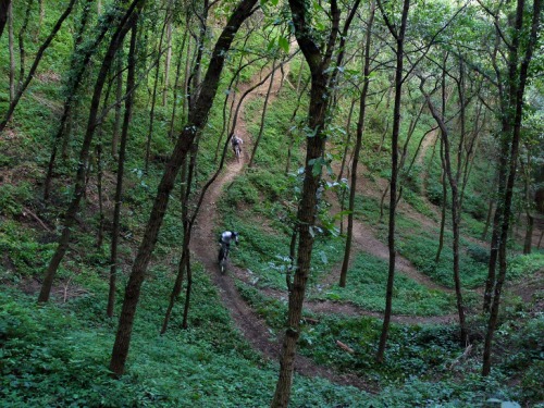f9dtkfm: 内野宿バイシクルパークwww.uchino-bicyclepark.jp