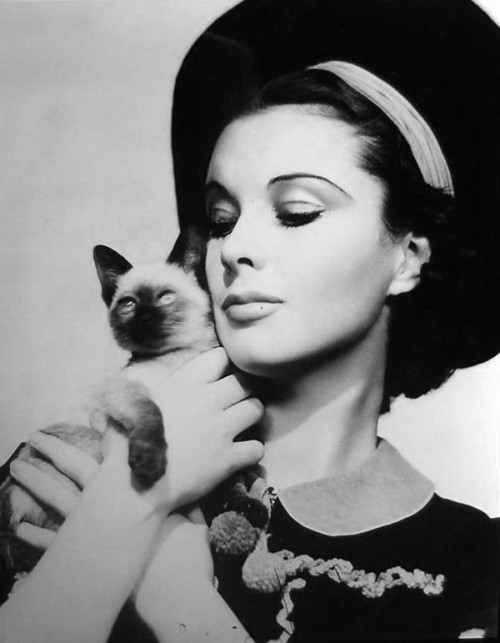 Vivien Lee with her cat New Boy; Photographed by Cecil Beaton for British Vogue