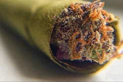nickijuana:  Taken with an iPhone 5s nickijuana