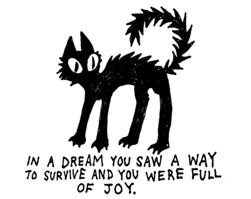 poeticsuggestions:First Jenny holzer quote I could find + cat! Suggested by @heartattackkidd(C.B)(11