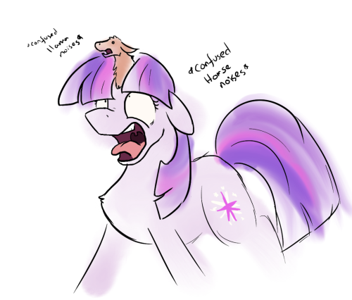 scruffy-scribbles:  I was told I should draw a llamacorn… I’m not really sure what a llamacorn is, but this is the first thing that popped into my head. I now know this is not a llamacorn… But this is still a thing.Such screaming. All the screaming.