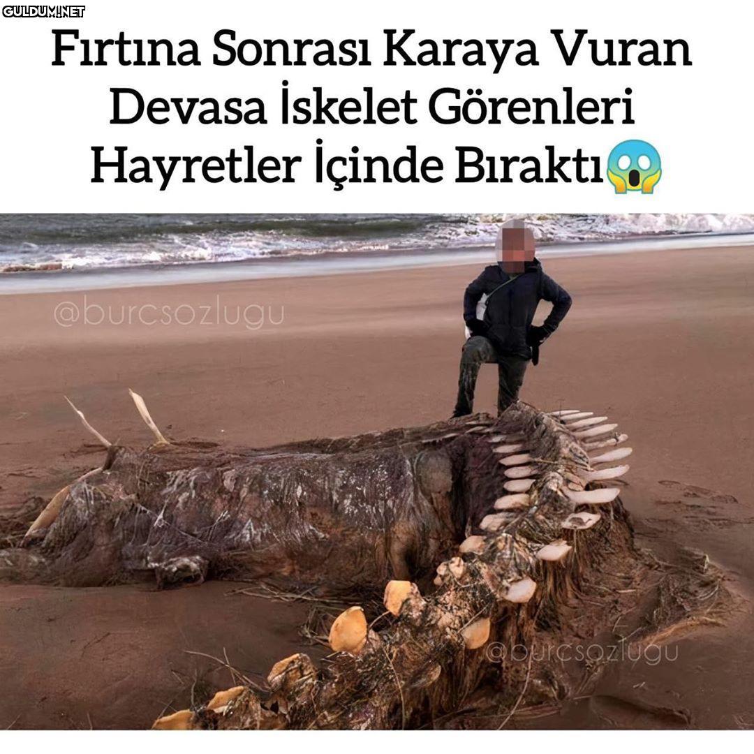 İngiltere'de fırtına...