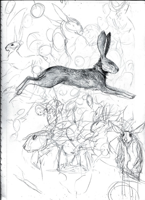 13hares:Look at this mess.