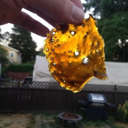 weedporndaily:  Dabbin on that gold by mr_daberton http://ift.tt/1mxrSr1