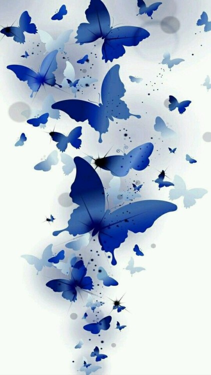 WALLPAPERS BORBOLETA/BUTTERFLY | DE LIKE!