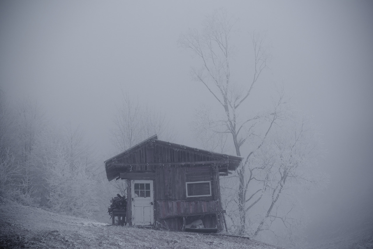 home sweet home …. could it be? home sweet home …. could it be?