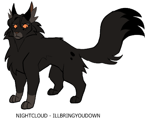 Nightcloud! Gave her sligthly bigger paws since she is described as strong and muscular in the books