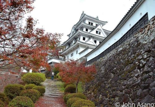 Looking forward to seeing the autumn colours again this year at Gujo Hachiman Castle in Gifu Prefect