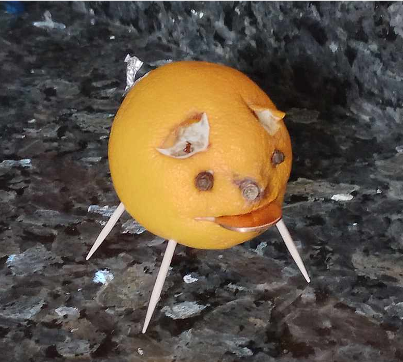 lemon pig