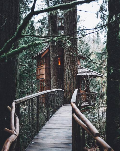 Washington Forest Treehouse