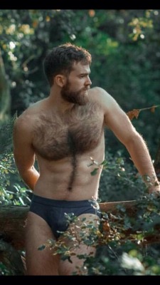 yummy1947:The same handsome bear as in my