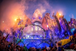 edm-scene:  Tomorrowland 2015