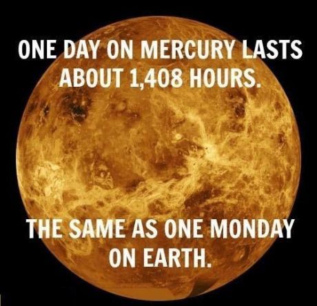 Ha.  Totes.