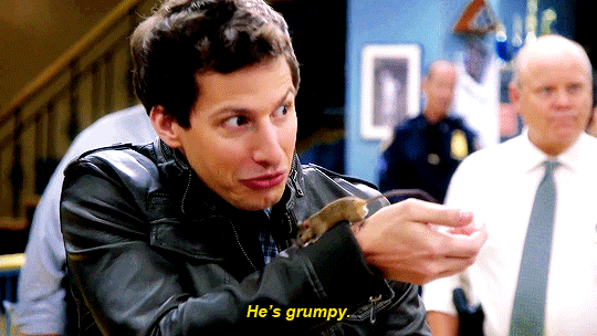 Brooklyn Nine Nine
