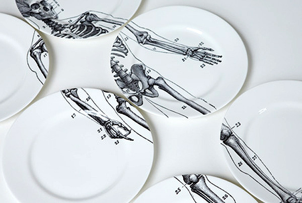 little-bunnys-creepies:   Anatomy based dishes. I want all of them….. Most can