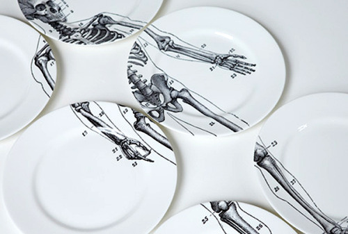 little-bunnys-creepies:   Anatomy based dishes. I want all of them….. Most can be bought here : http://goreydetails.net/shop/index.php?main_page=index&cPath=38_82_87Or here: http://www.etsy.com/listing/113084065/anatomical-skull-plate-chase-and-scout