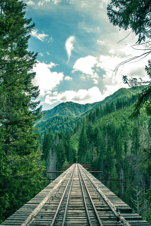 favorite-season:Mountain Tracks byIsaac Gautschi