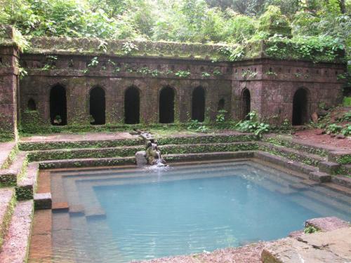 Temple pond, southern Karnataka