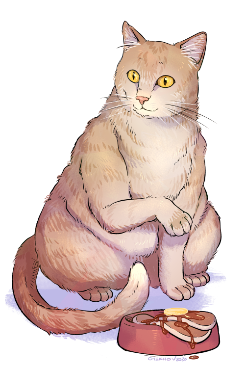 chekhovdraws: A pet portrait commission for the lovely @nacrepearl of their cat Pancake! :D This was so much fun, and Pancake is the cutest.  Commission - do not use 