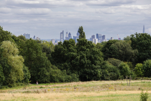 kingsoftomorrow - Hampstead Heath, London. August 2017.