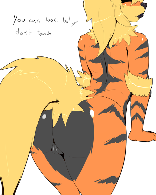 Sex pokepornking:  Arcanine part 2/2 pictures