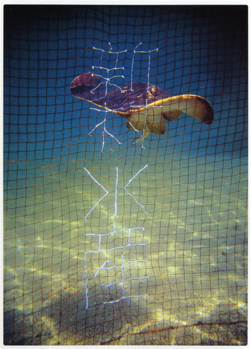 Japanese Poster: Shinmura Fisheries. Norito Shinmura. 1998