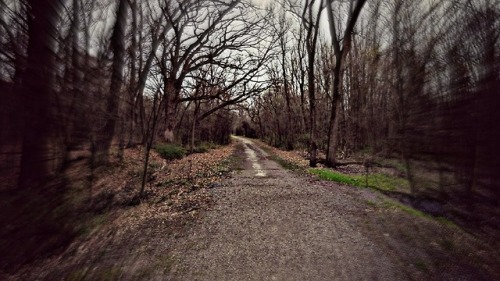 lovebizarreoddities: Bachelor’s Grove Cemetery Midlothian, Illinois Hidden in an array of crow