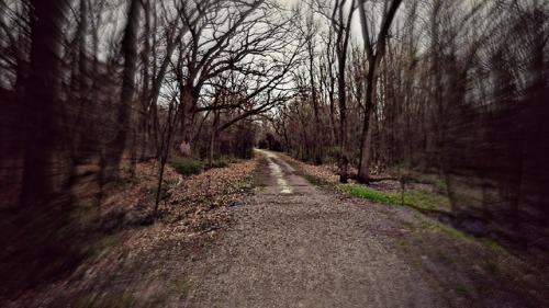 lovebizarreoddities: Bachelor’s Grove Cemetery Midlothian, Illinois Hidden in an array of crowded, t