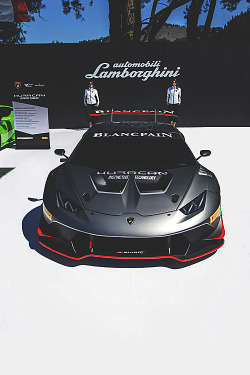 visualechoess:  Lamborghini Huracan Super Trofeo  
