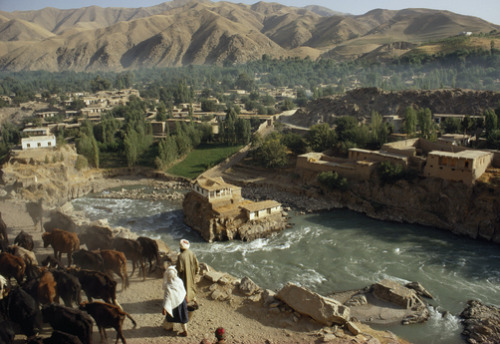 lindazahra: People and cattle walk riverside path approaching provincial capital. Faizabad, Afghanis