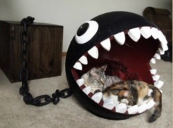 retrogamingblog:  Chain Chomp Cat Bed