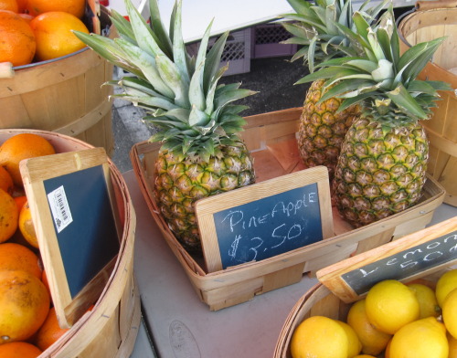nxgro:  🍍