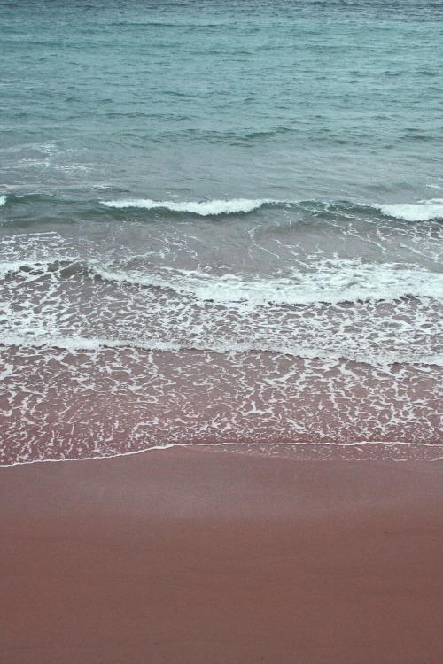 r2–d2:  Untitled by (Bea*Botwin) 