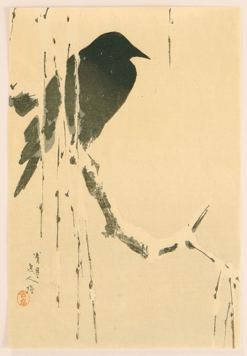 the-evil-clergyman: Crow on Snowy Branch by Watanabe Seitei (1890-1900)