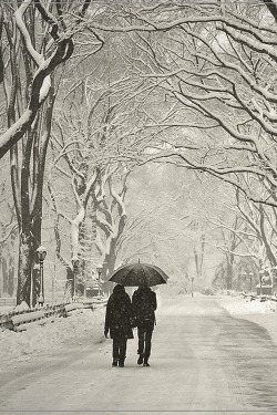 italian-luxury:  New York - Snowy Central Park -  Credit 