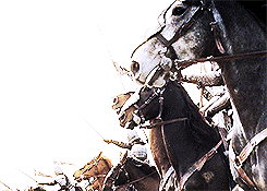 faramihr:  lotr meme: 1/10 scenes  &ldquo;Home is behind, the world ahead, and