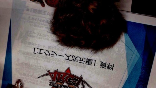 pendulum-summon:1.Meeting with Kaito~~ join Lancers in Synchro dimension.2.Meeting with Edo.Edo has 