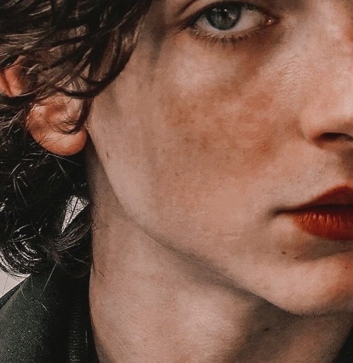 Eyes Of Timothée Chalamet