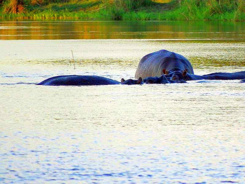 Botswana Ist Ein Weites Binnenland Mit Einem Umfang Von Circa 582 000 Quadratkilometern. Zwei Drittel