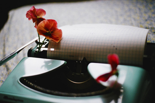 jacindaelena: Abby Billington 