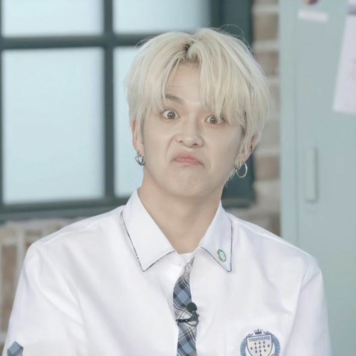 ~I Just Wanna Be Your Meme Boy~