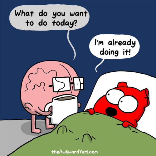 theAwkwardYeti.com