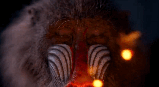 Lion King Edit Explore Tumblr Posts And Blogs Tumgir