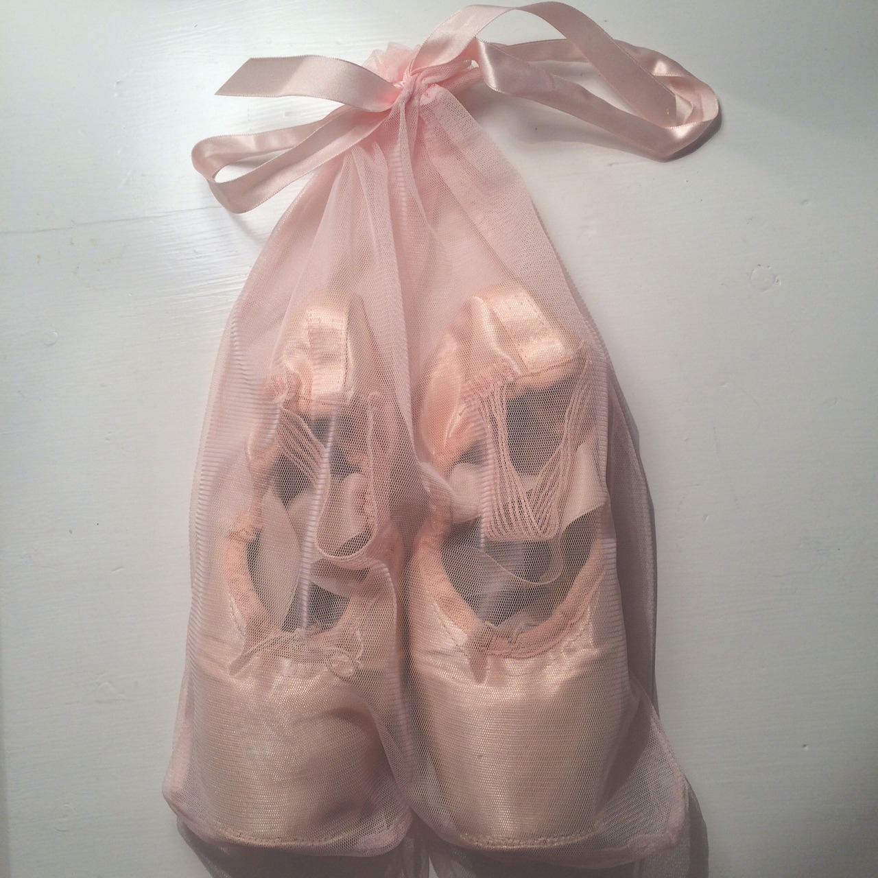 angel-veil:  angel-veil:  pain in a pretty package  Freed’s in a Bloch mesh bag…