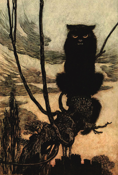 vintagegal:Arthur Rackham illustration from Hansel & Grethel & other tales by The Brothers G