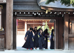 yuikki:  The Kanagawa University (Hiratsuka) Kendo Team by kiri-fuda on Flickr.
