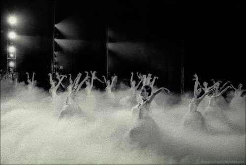 juotin:ABT’s Swan Lake by Paul B. Goode