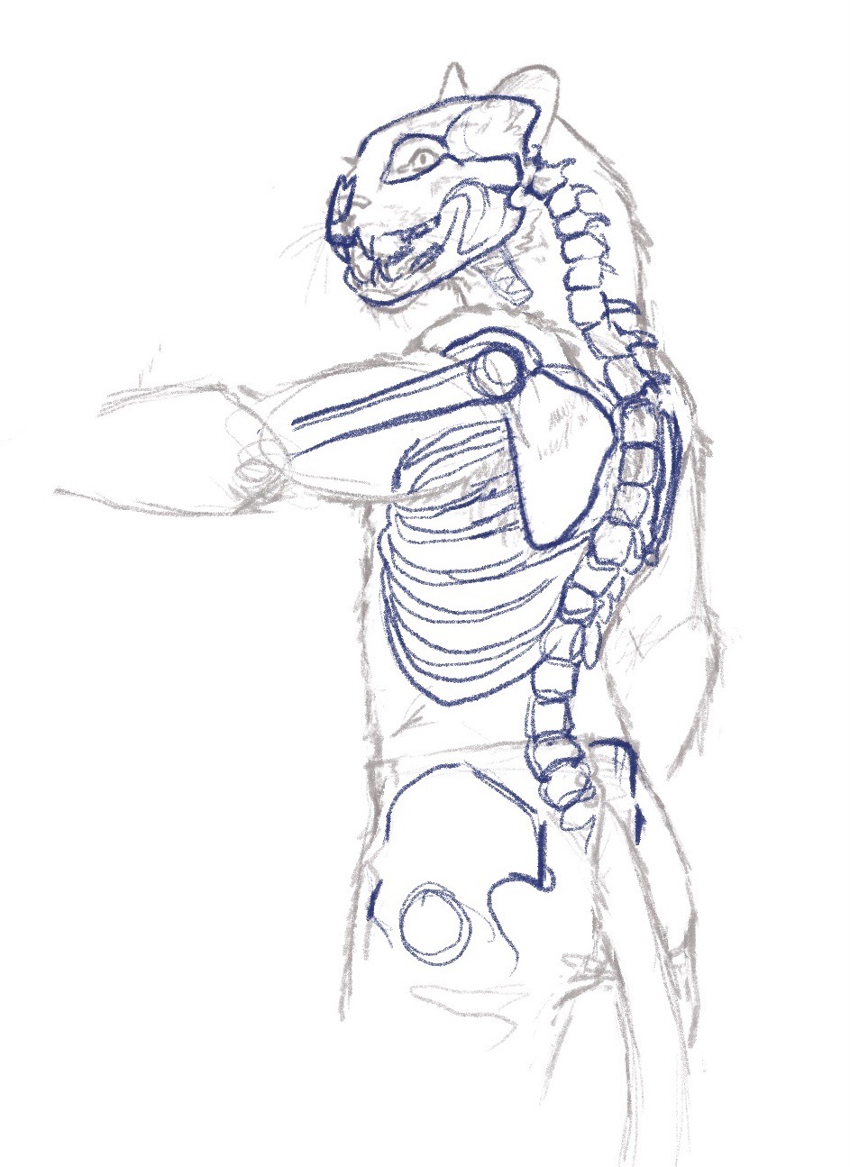 Good Anatomy Books For Artists Reddit Book Review